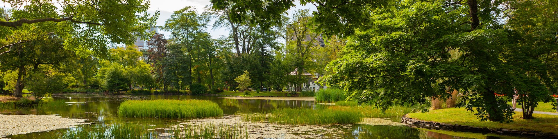 Halifax Public Gardens showing a pond and a park