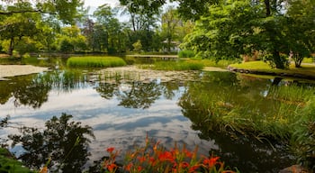 Halifax Public Gardens showing a pond and a park