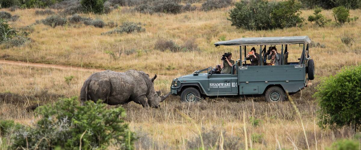 Johannesburg et environs montrant animaux dangereux, aventures en safari et scĂšnes tranquilles