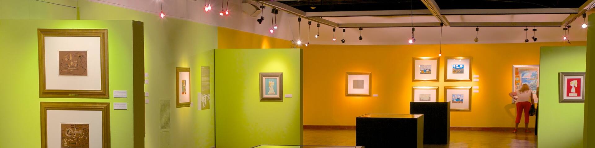 Municipal Museum of Modern Art featuring art and interior views