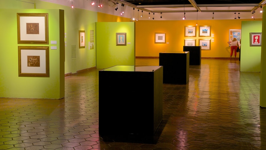 Museo Municipale di Arte Moderna mostrando arte e vista interna
