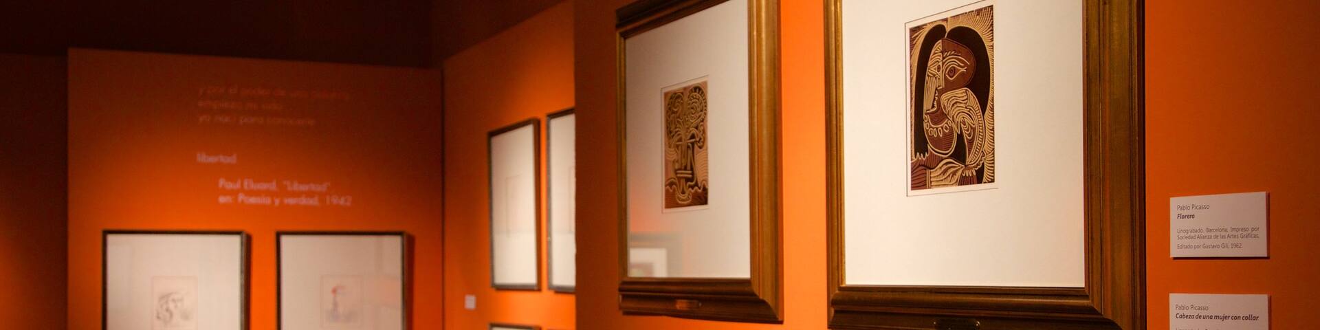 Municipal Museum of Modern Art showing art and interior views