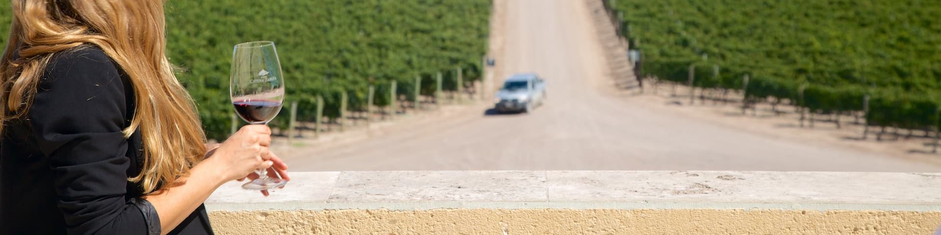 Catena Zapata Winery which includes views and drinks or beverages as well as an individual femail