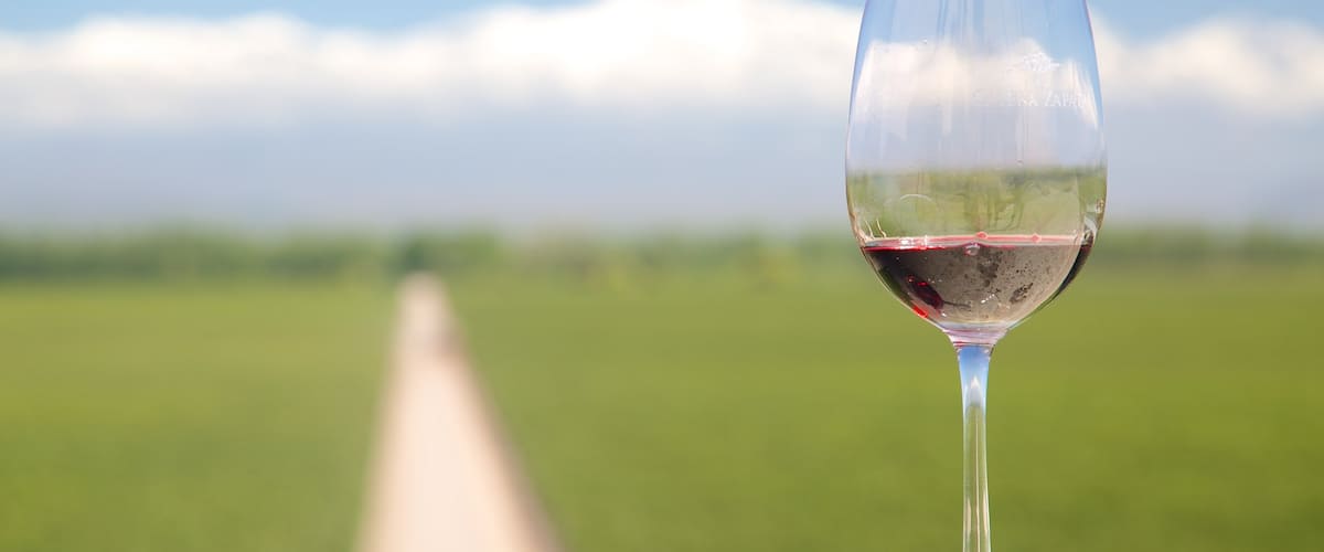 Catena Zapata Winery which includes drinks or beverages