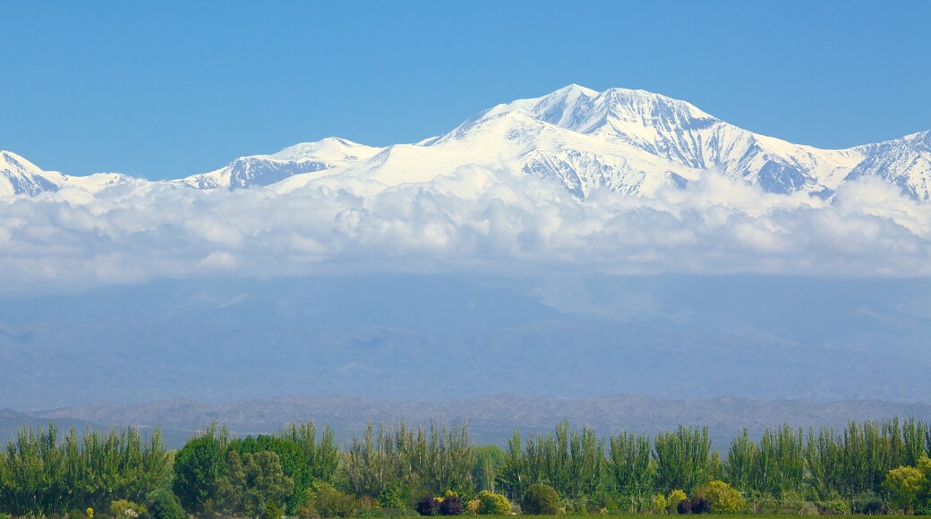 Mendoza caratteristiche di neve