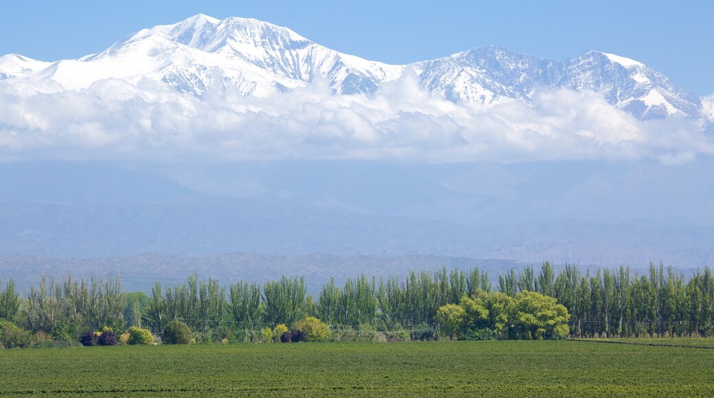 Catena Zapata Winery featuring snow and mountains