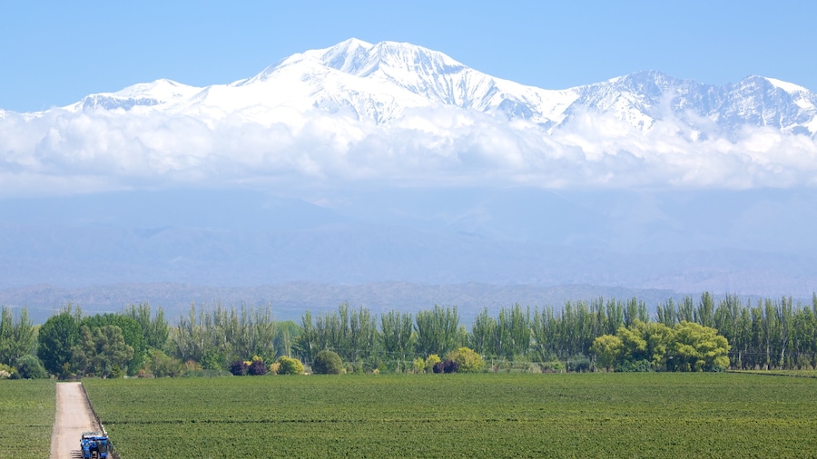 Catena Zapata Winery which includes snow and mountains