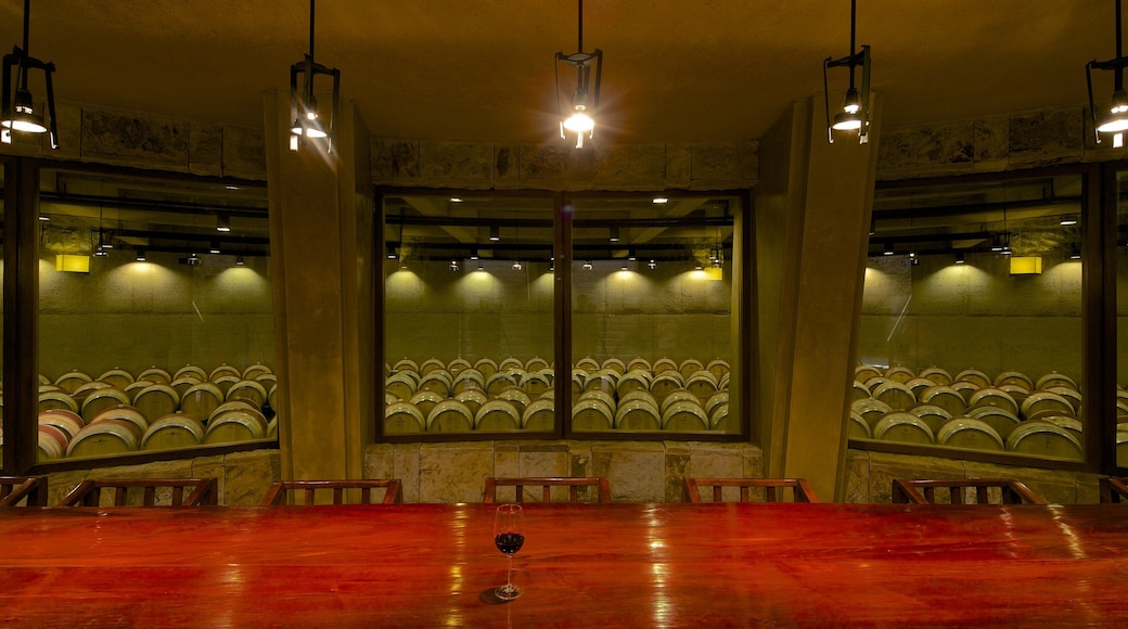 Catena Zapata Winery featuring interior views