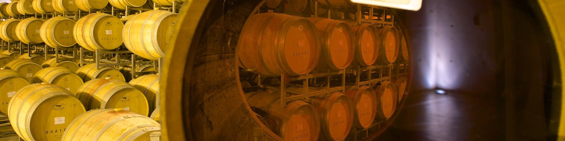 Navarro Correas Winery featuring interior views