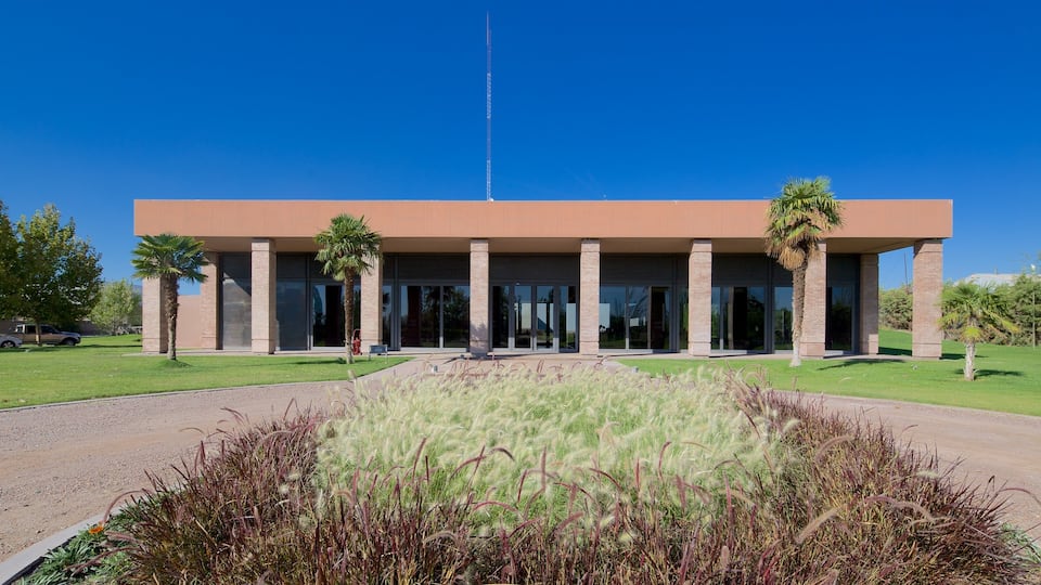 Navarro Correas Winery showing a garden