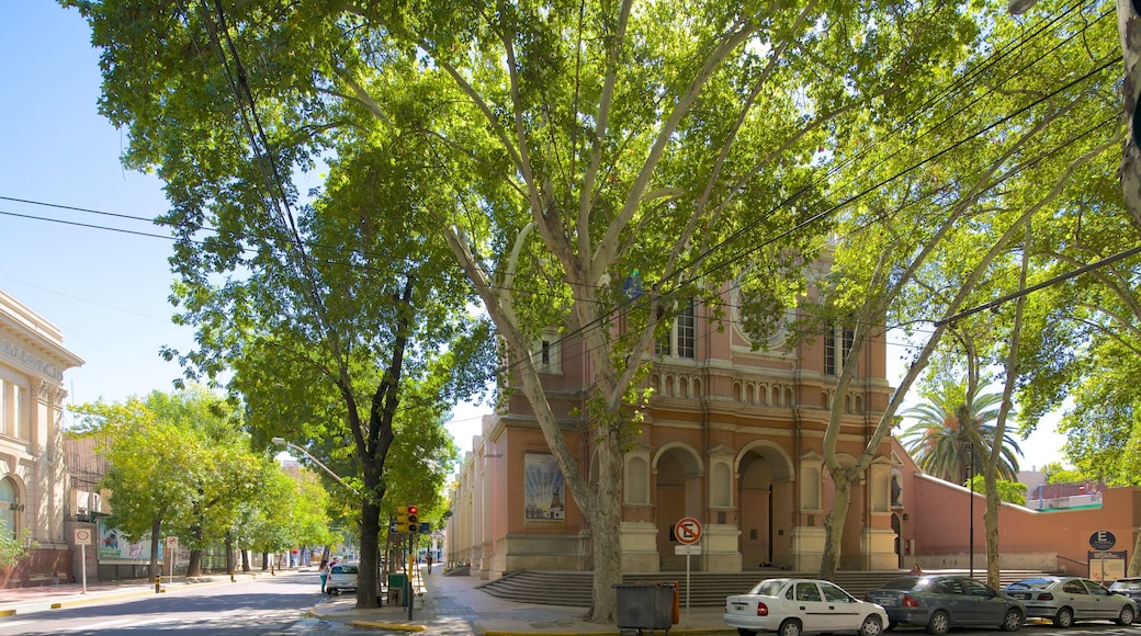 Basílica de San Francisco ofreciendo imágenes de calles, arquitectura patrimonial y una iglesia o catedral