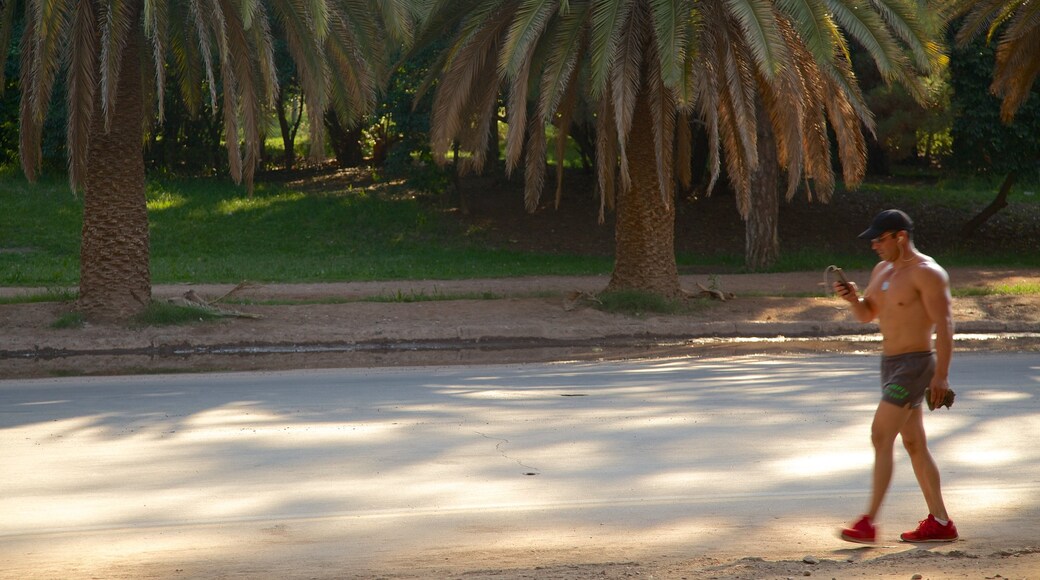 La Quinta
