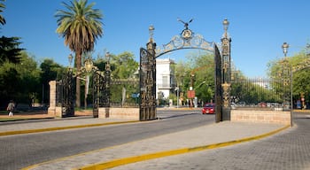 Cuyo - Wine Region