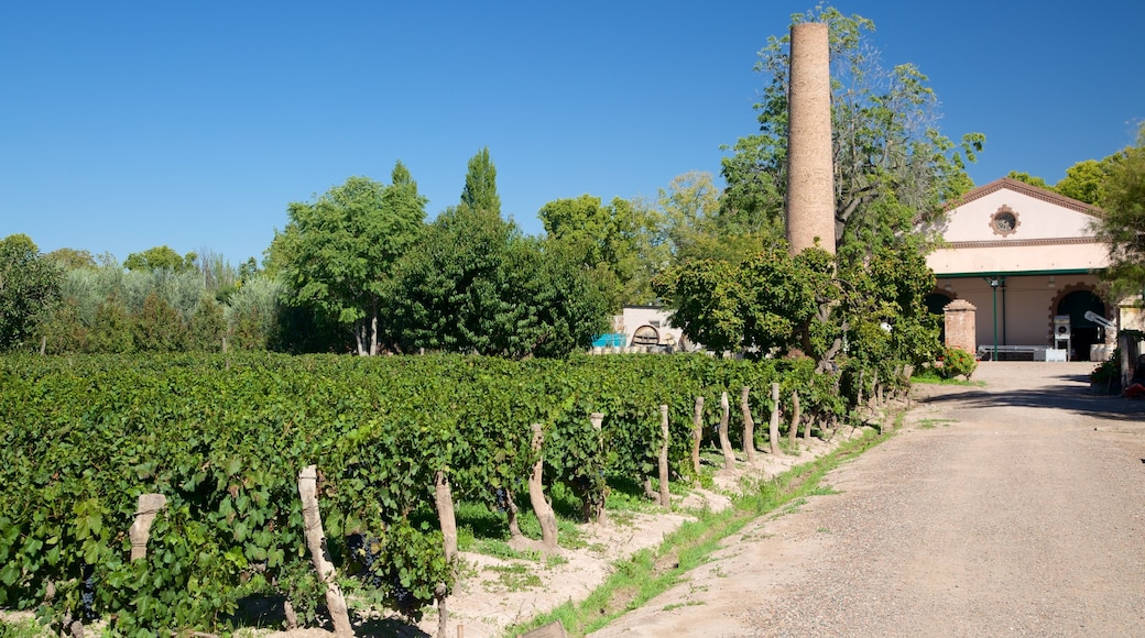 Lagarde Winery which includes farmland and a house
