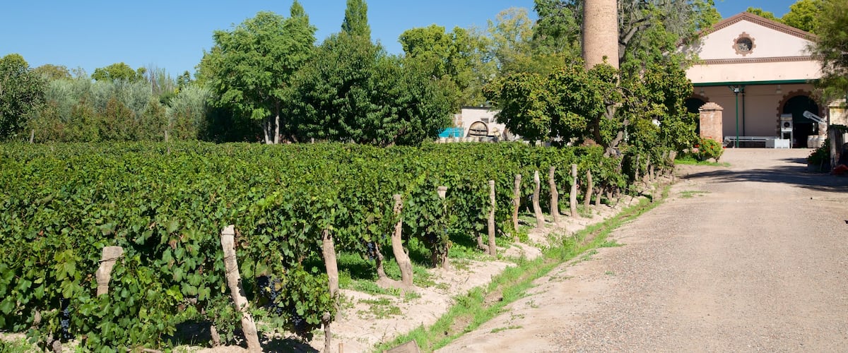 Lagarde Winery showing farmland and a house