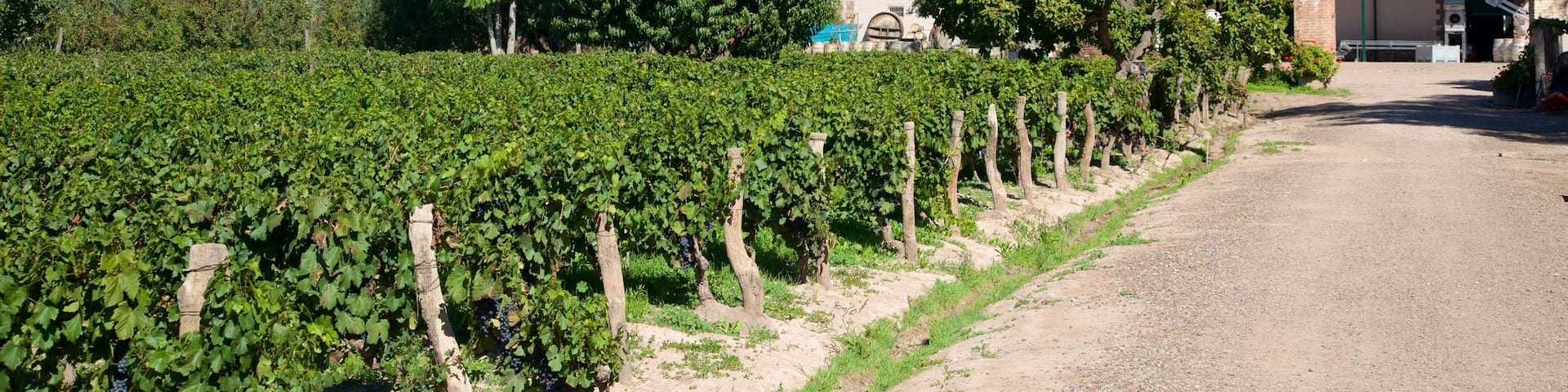Lagarde Winery which includes farmland and a house