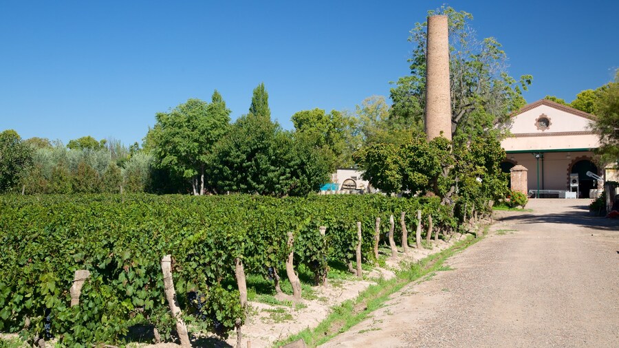 Lagarde Winery showing farmland and a house