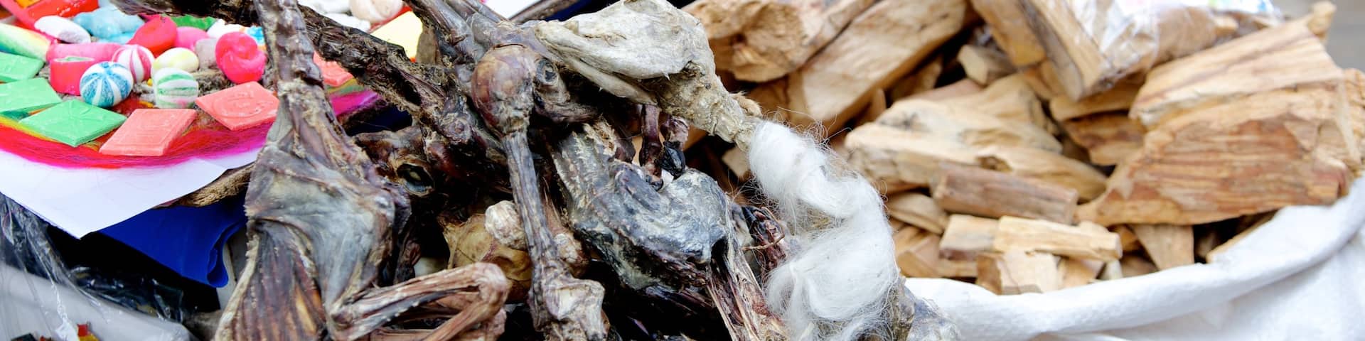 Witches\' Market showing food