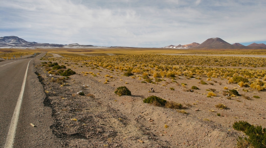 Bolivia which includes landscape views and desert views