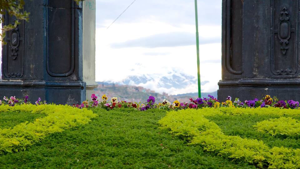 La Paz que inclui um jardim