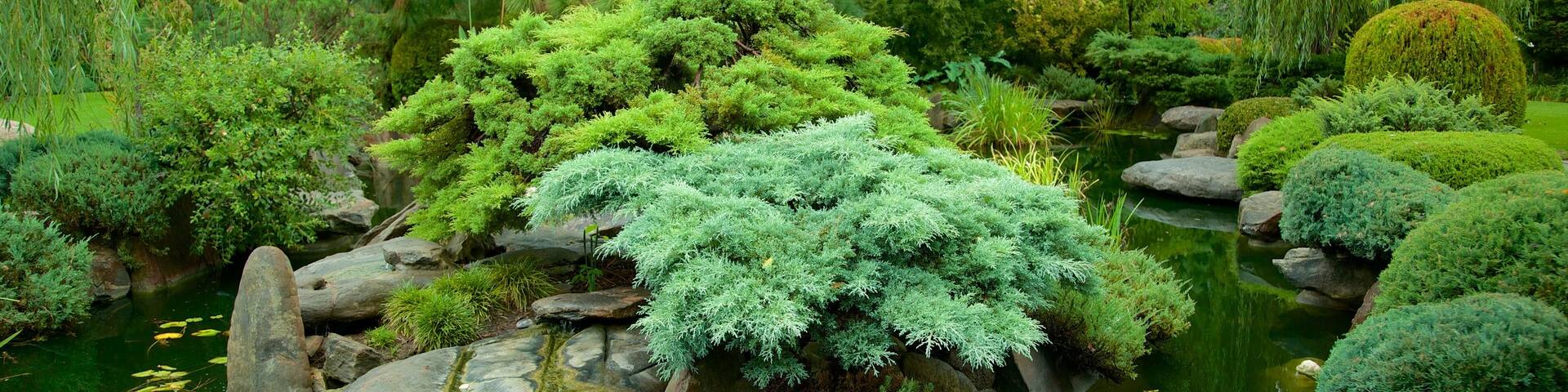 Jardins Himeji qui includes mare et jardin