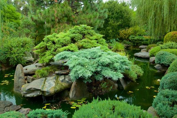 Jardins Himeji qui includes mare et jardin