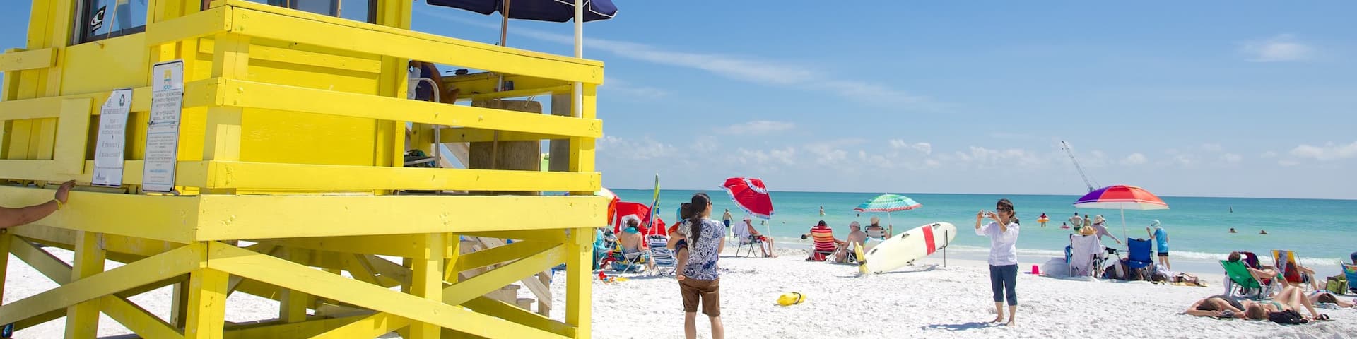 Siesta Key Public Beach som omfatter en sandstrand