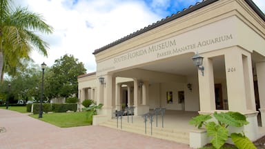 South Florida Museum featuring signage