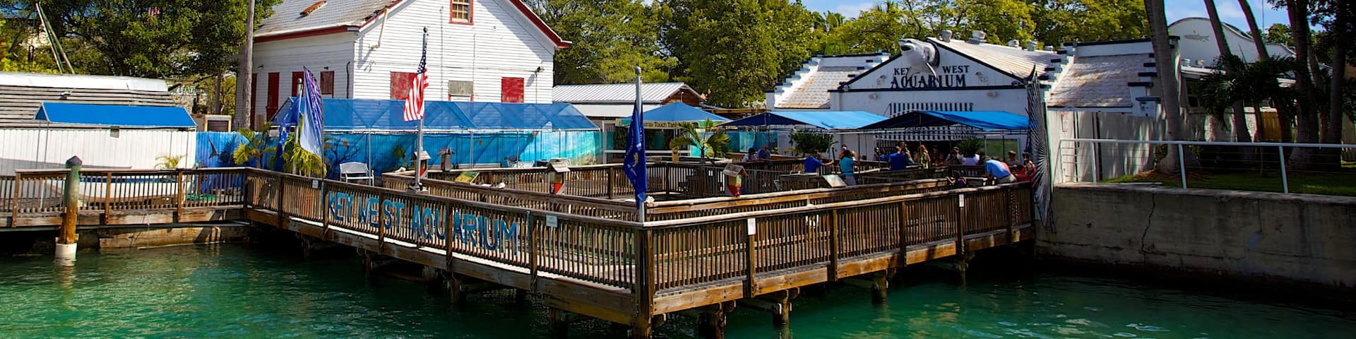 Key West Aquarium mit einem Meeresbewohner