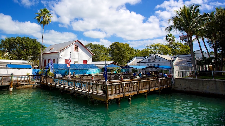 Akuarium Key West