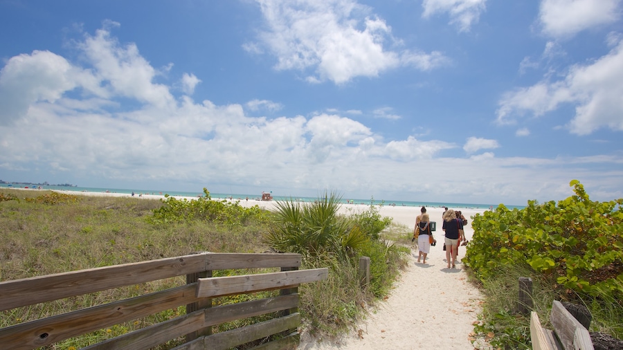 Lido Key mostrando spiaggia