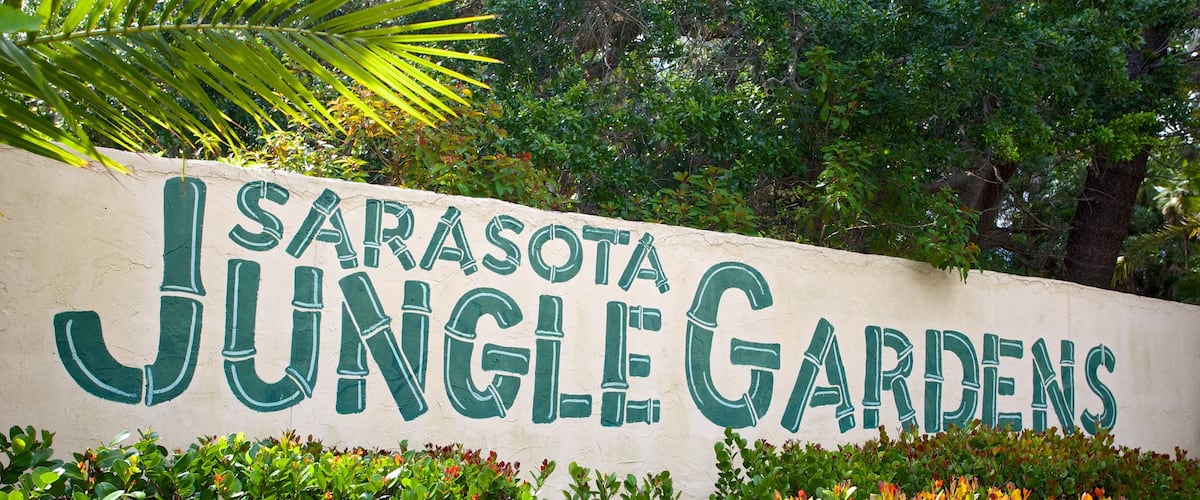 Sarasota Jungle Gardens showing signage and a garden