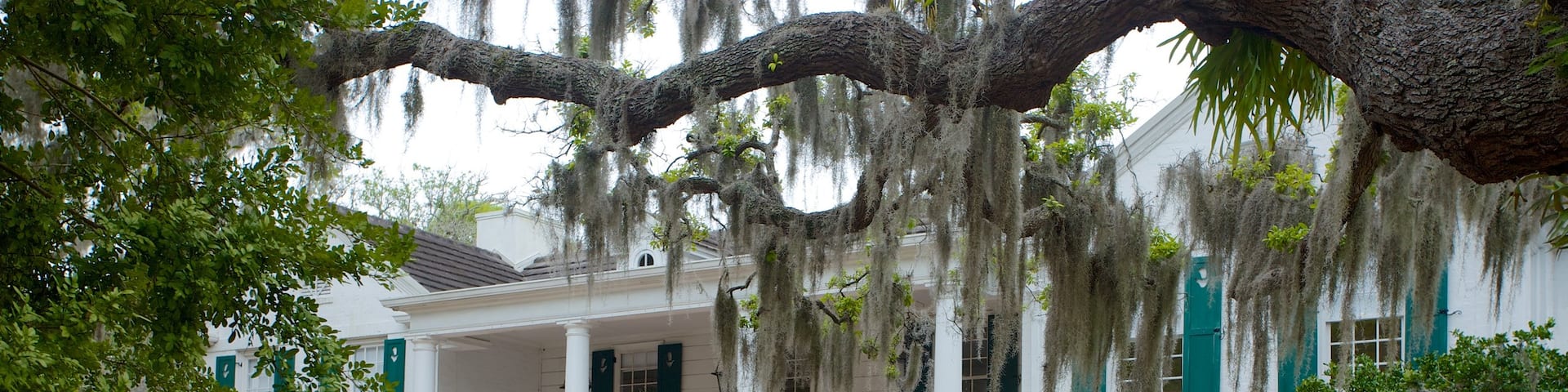 Marie Selby Botanical Gardens featuring a park
