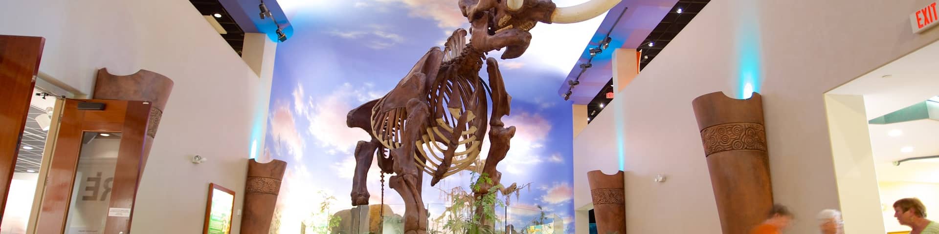 South Florida Museum showing interior views
