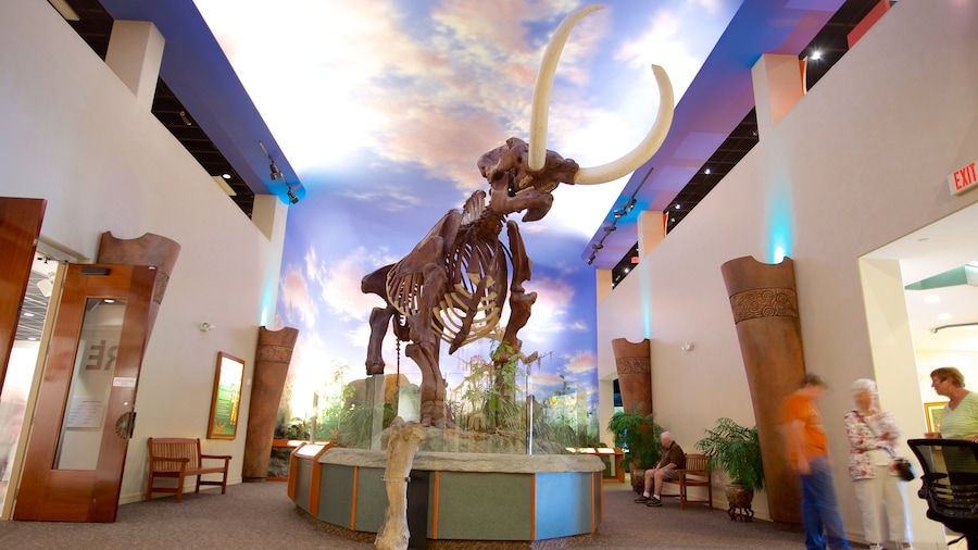South Florida Museum caratteristiche di vista interna