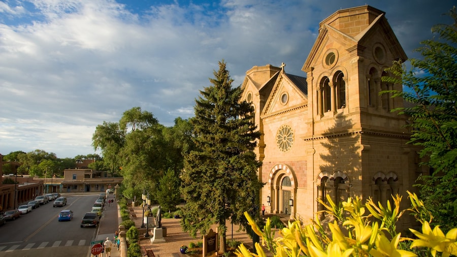 Cathedral Basilica of Saint Francis of Assisi showing religious elements, a church or cathedral and heritage architecture