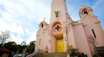 Mission San Rafael Arcangel which includes religious aspects, a church or cathedral and heritage architecture