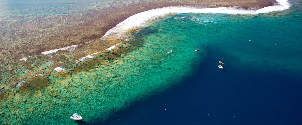 Tahití que incluye vistas generales de la costa, imágenes de una isla y coral