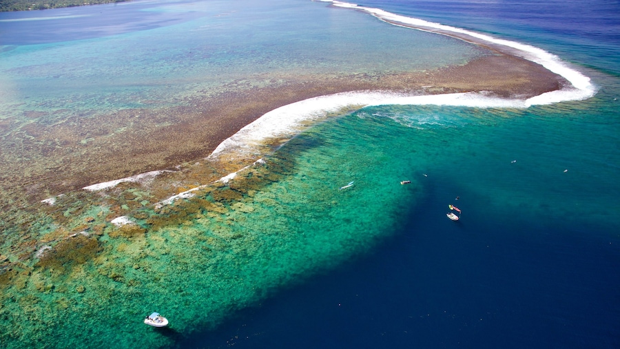 Tahití que incluye vistas generales de la costa, imágenes de una isla y coral