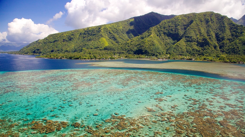Tahiti montrant corail, montagnes et paysages cĂŽtiers