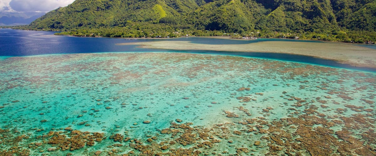 Tahiti featuring general coastal views, mountains and coral