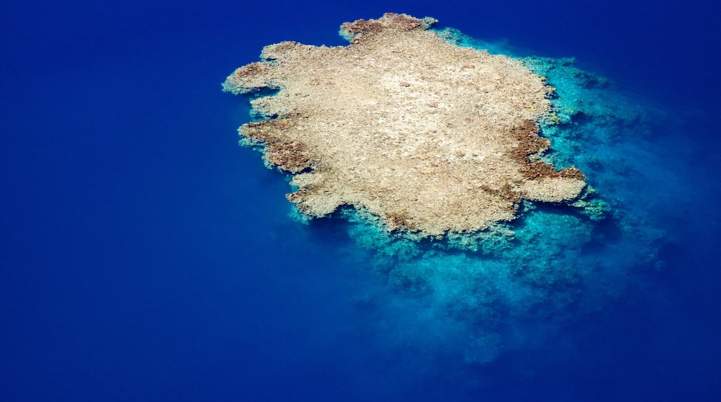 Tahiti showing coral and island images