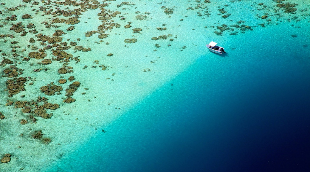 Tahití mostrando arrecifes coloridos