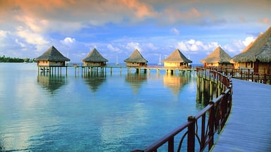 Rangiroa which includes general coastal views