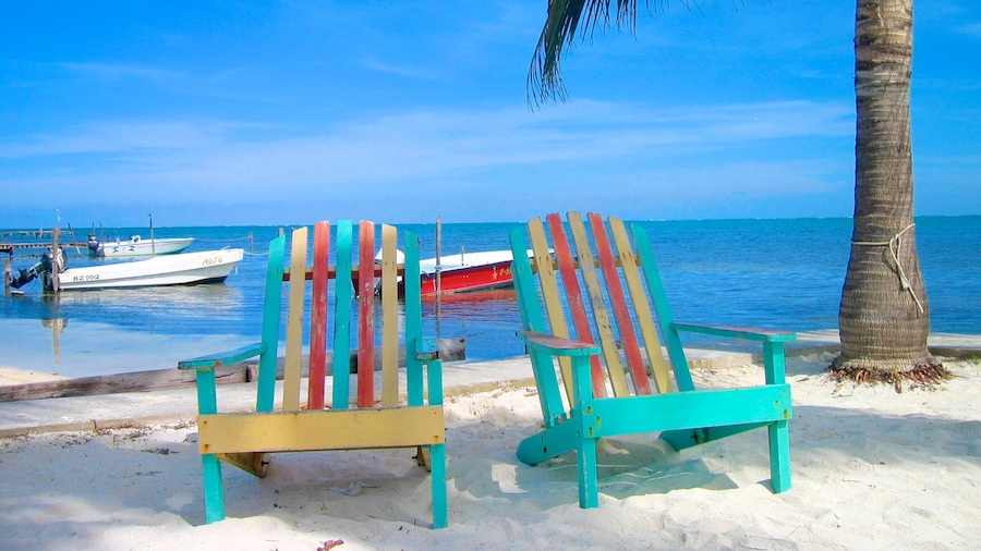Caye Caulker showing a sandy beach