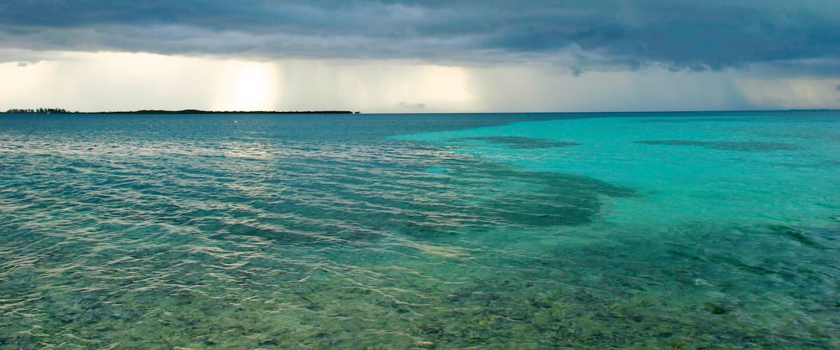 Tobacco Caye showing general coastal views