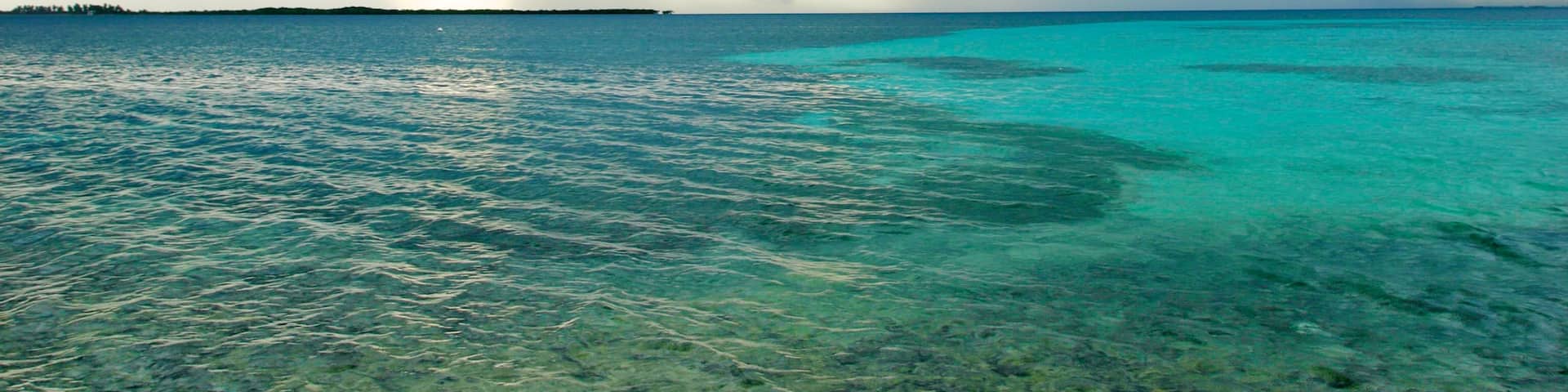 タバコ ケイ フィーチャー 海岸線の眺め