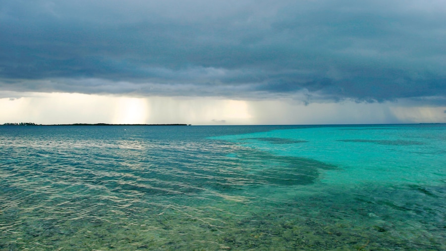 Tobacco Caye che include vista della costa