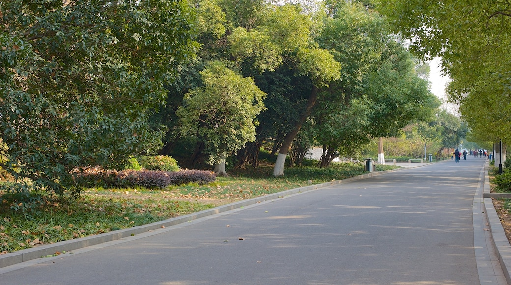 Nanjing featuring a park and street scenes