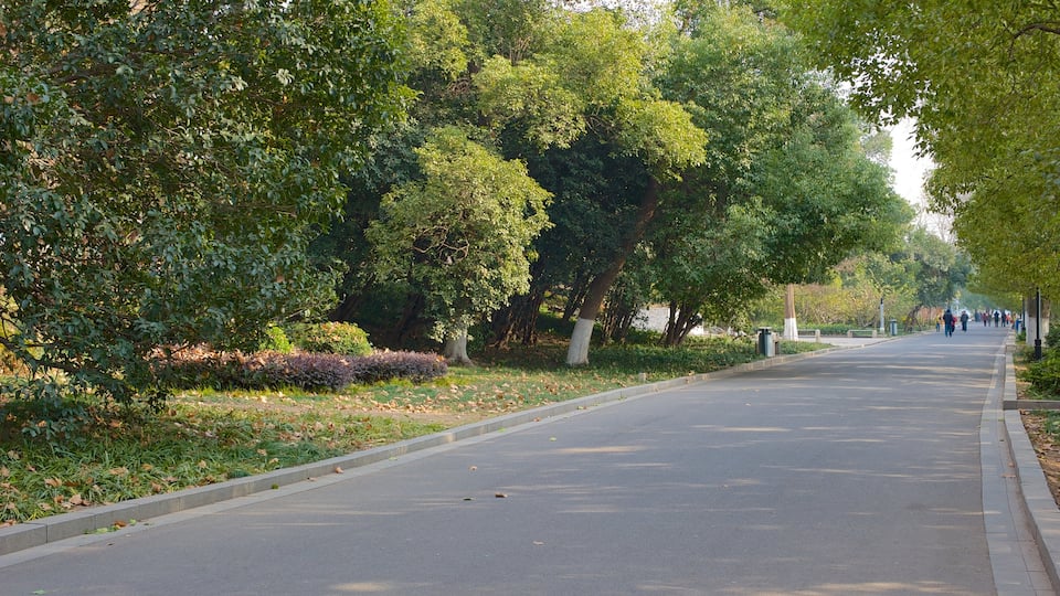Nanjing which includes a garden and street scenes